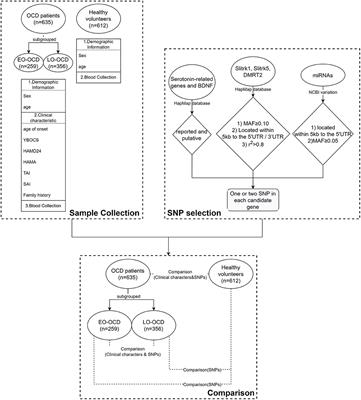 Exploring Association Between Serotonin and Neurogenesis Related Genes in Obsessive-Compulsive Disorder in Chinese Han People: Promising Association Between DMRT2, miR-30a-5p, and Early-Onset Patients